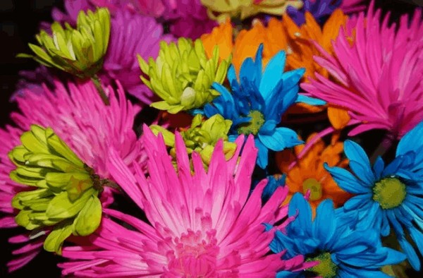 «В международный женский день»