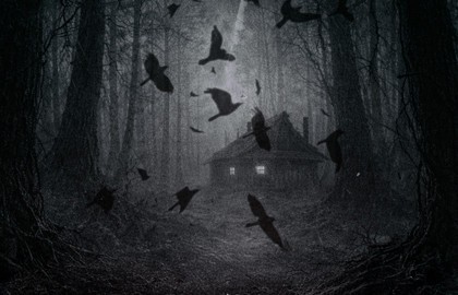 Группа «Demons of Guillotine»