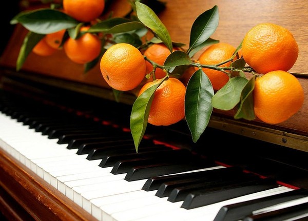 Презентация сказки «Город кошек» от музыкального театра-мастерской «Мандариновое дерево»