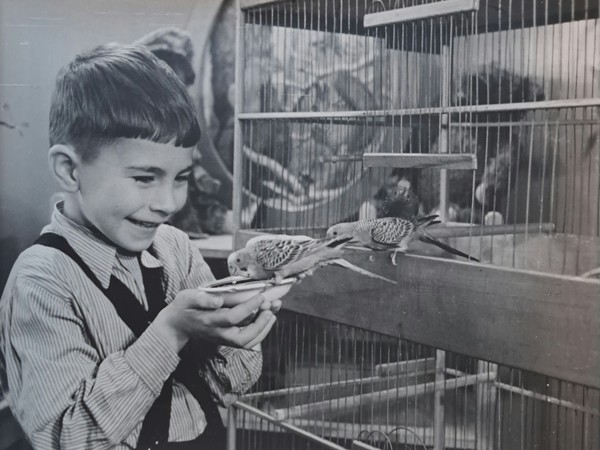 Дети и детское в истории искусства