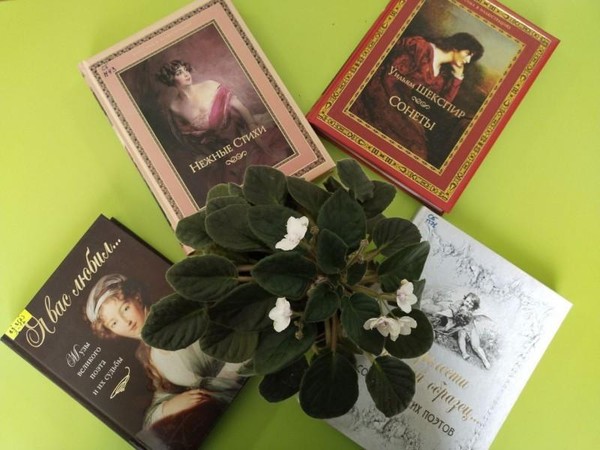 Музыкальный вечер «Её Величество Женщина»