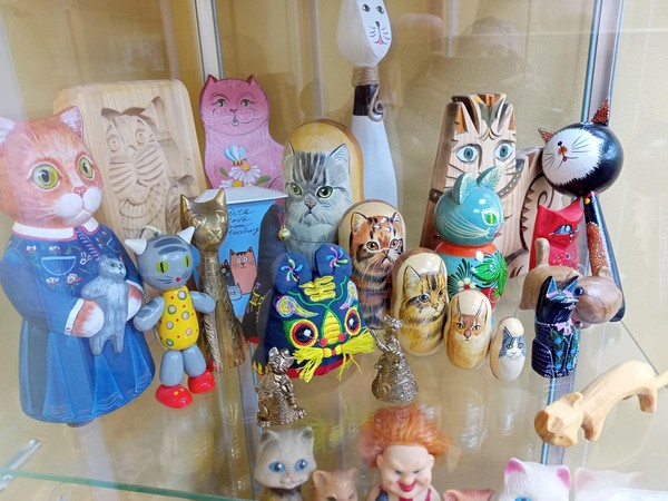 Выставка «Живут на земле существа неземной красоты»