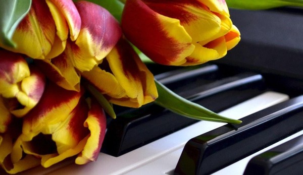 «Праздничный концерт»