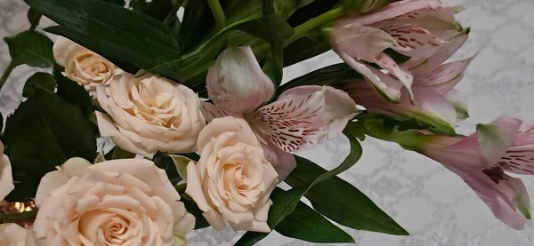 Прекрасным дамам посвящаем