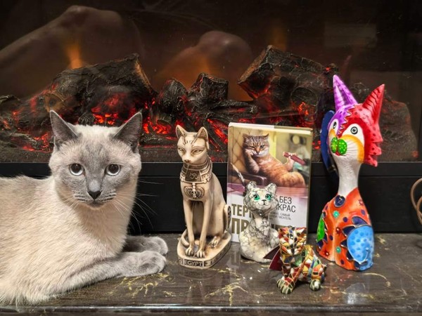 Арт–час«Чудо по имени Кошка»