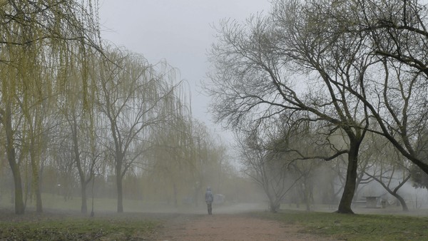 Встреча с режиссёром-документалистом Натальей Маковецкой