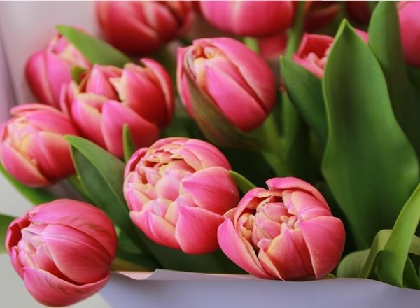 Праздничное мероприятие «Про женщин, про весну...»