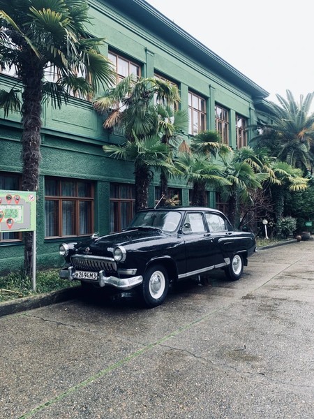 По страницам Сочи