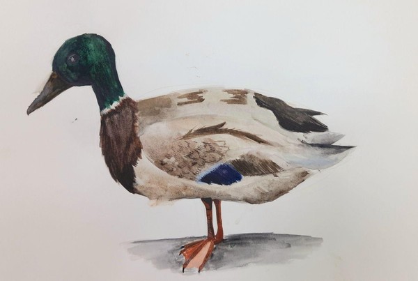 выставка «Уточки»