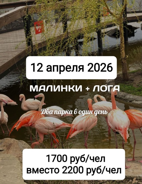 Малинки! Скидка!!!