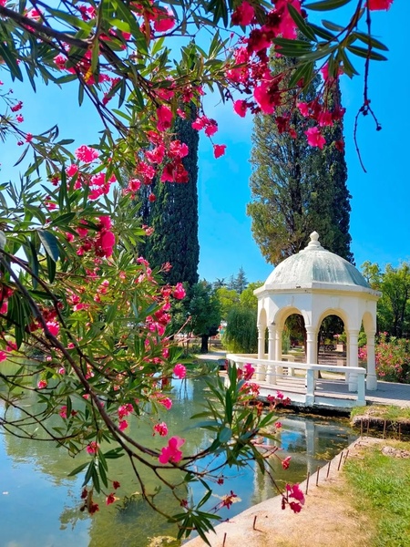 Абхазия! Скидка!