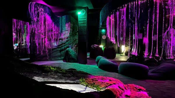 Выставка «Sense. Почувствуй стихии»