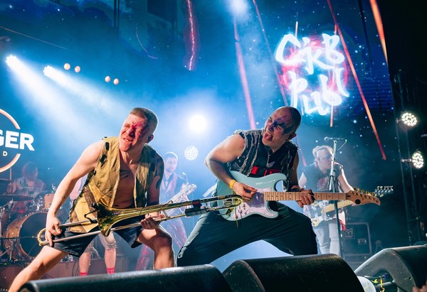 Скворцы Степанова