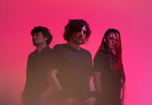 Адаптация пчёл