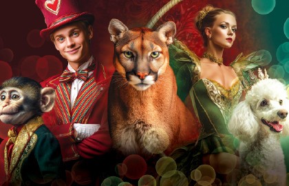 Цирк зажигает огни