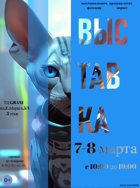 Международная Выставка Кошек