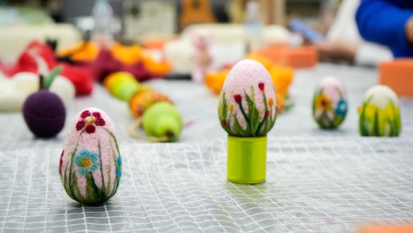 Познавательная программа в «Научке»