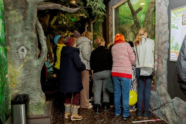 Маршрутная игра-квест «Большие тайны и маленькие секреты»