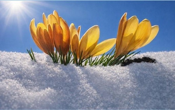 «Светлый праздник Женский день!»