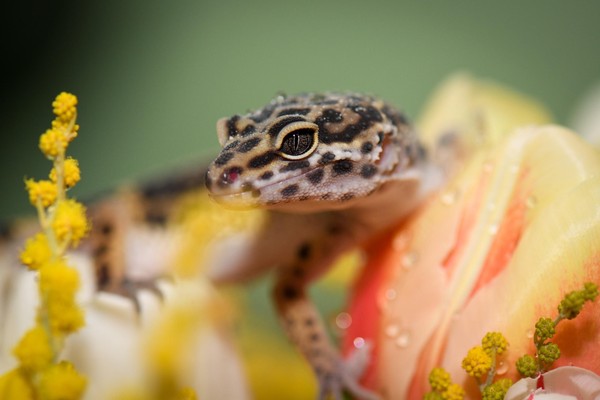 Тематическая экскурсия «Легко ли быть девочкой?»