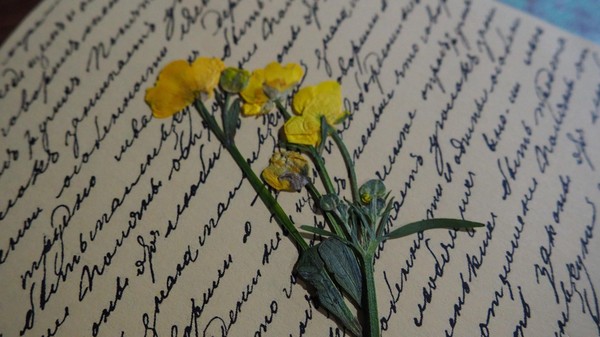 Мастер-класс «Цветочная открытка»