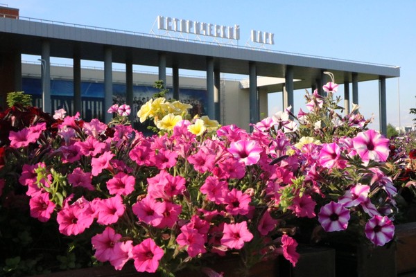 Экскурсии «Женский силуэт»