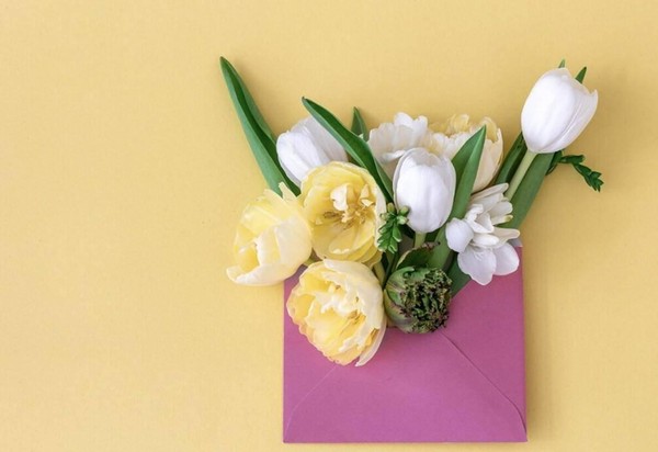 Программа «Традиции русского письма»