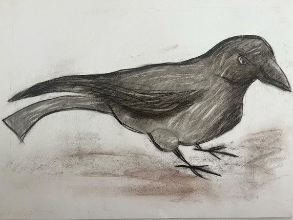 Виртуальная выставка работ «Зарисовки птиц»