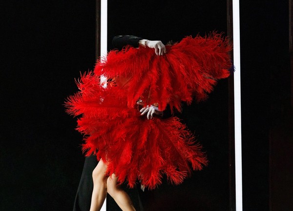 Фиалка Монмартра