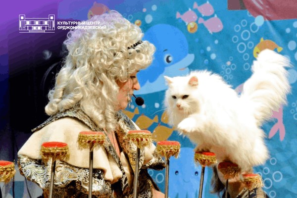 Спектакль «Королевство кошек» | Театр «Кото Феи»