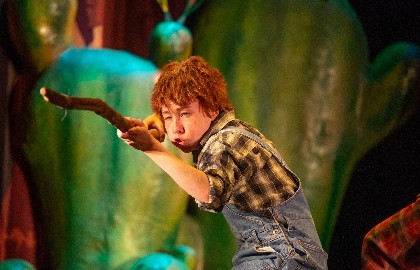 Вождь краснокожих