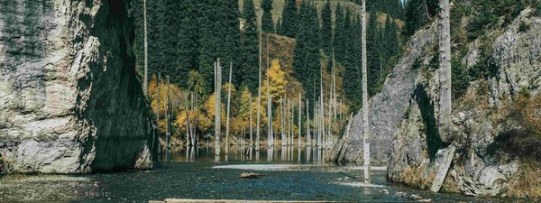 Тур к озерам Кольсай и Кайынды + Черный каньон