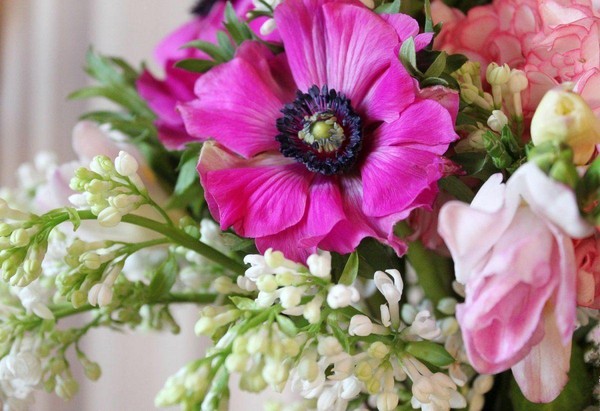 Концерт «Посвящение любимым женщинам»