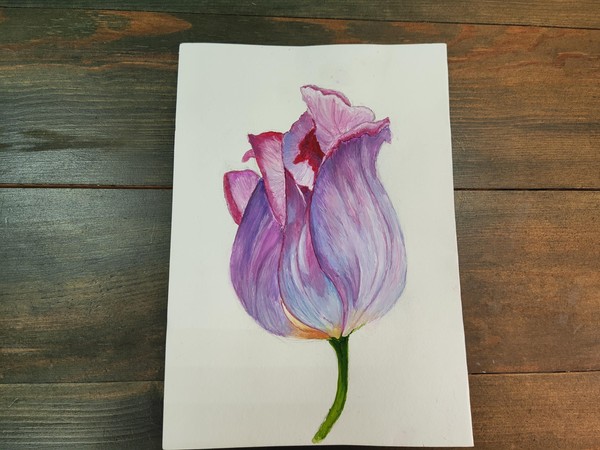 Мастер-класс по рисованию «Тюльпан»