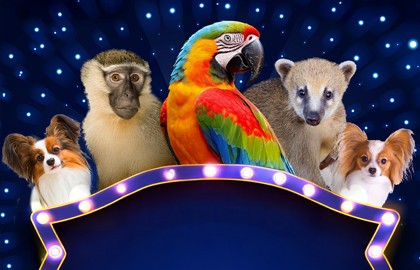 Цирк «Фантастик»