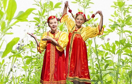 Муха-Цокотуха