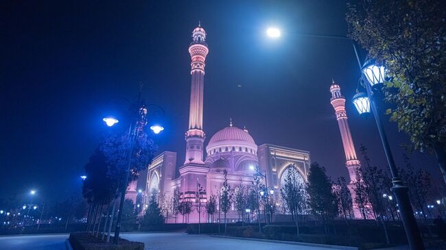 Чечня! Скидка!