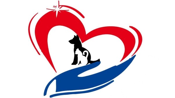 Благотворительная акция «Протяни руку лапам»