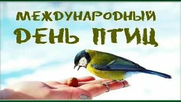 Экологическая беседа «Наши крылатые друзья»