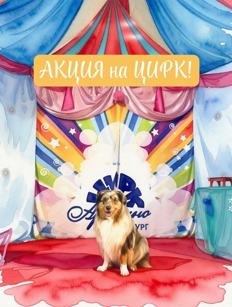 Акция на шоу-программу “НЕСКУЧНЫЙ ЦИРК”