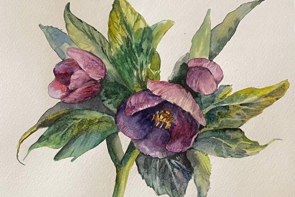 Акварельная ботаника