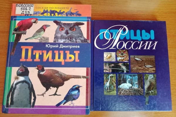 Экопрограмма «Птичья карусель»