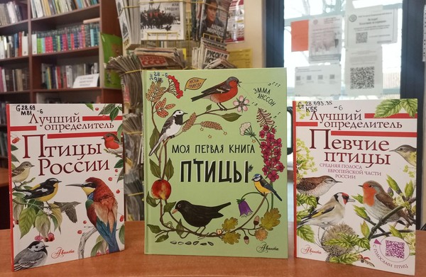 Беседа «На крыльях птичьих и весна летит»