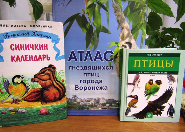 Праздничная программа «Покорители воздушного океана»