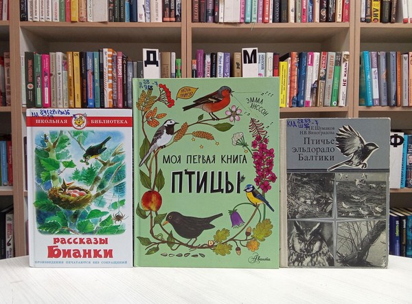 Беседа «В мире птиц»