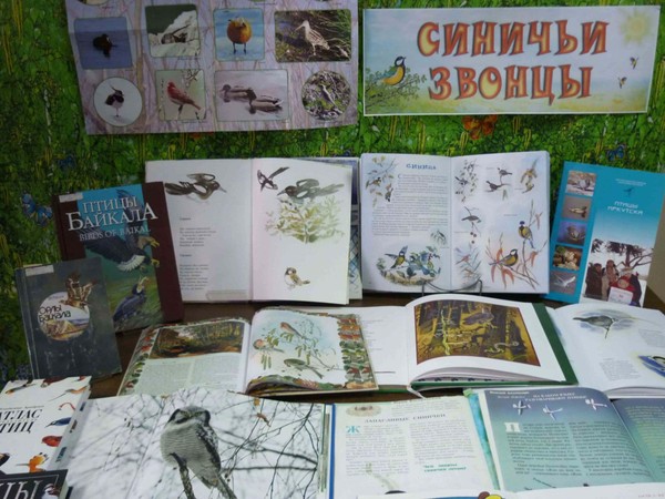 Книжно-иллюстрированная выставка «Синичьи звонцы»