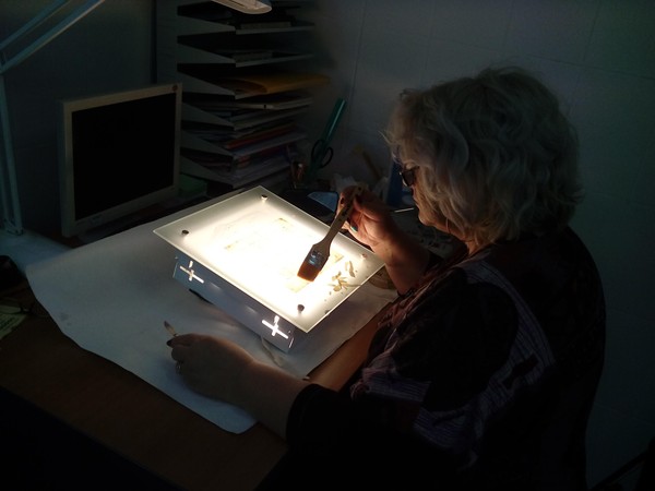 Экскурсия «Открытая реставрация»