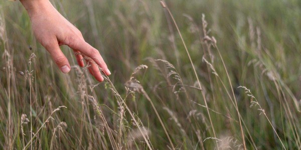 Выставка «Протяни природе руку»