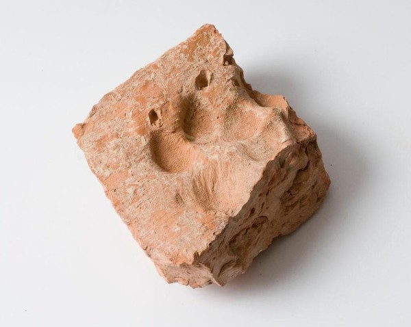 Выставка «Следы и знаки»