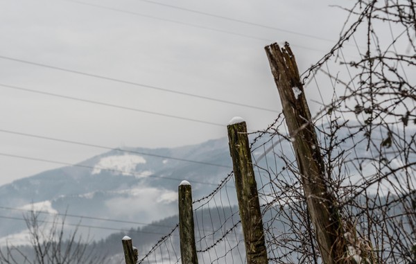 «Без срока давности!»